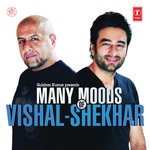 Many Moods Of Vishal-Shekhar - Nandini Srikar Song Download